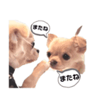 キキララスタンプ@（個別スタンプ：10）
