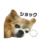 Qooすたんぷ（個別スタンプ：13）