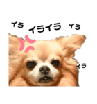 Qooすたんぷ（個別スタンプ：14）