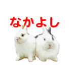 レオとゆずのスタンプ(第1弾)（個別スタンプ：15）