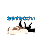 ワーコカです。（個別スタンプ：11）