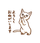 しわねこさんとしろねこちゃん（個別スタンプ：5）