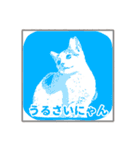 【愛猫】このままいいそうスタンプ（個別スタンプ：10）