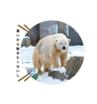 my zoo 5（個別スタンプ：25）