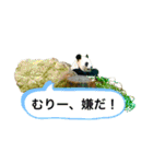 my zoo 5（個別スタンプ：34）