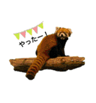 my zoo 5（個別スタンプ：35）