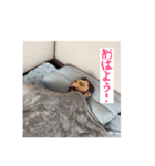 ちくbootlegスタンプ2（個別スタンプ：6）