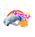 御蔵島のイルカと子供たちが描いたイルカ2（個別スタンプ：2）