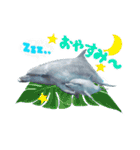 御蔵島のイルカと子供たちが描いたイルカ2（個別スタンプ：6）