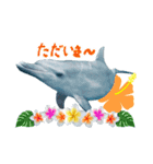 御蔵島のイルカと子供たちが描いたイルカ2（個別スタンプ：7）