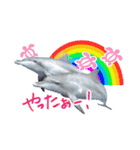 御蔵島のイルカと子供たちが描いたイルカ2（個別スタンプ：8）