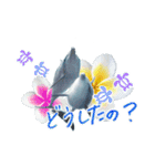 御蔵島のイルカと子供たちが描いたイルカ2（個別スタンプ：9）