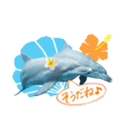 御蔵島のイルカと子供たちが描いたイルカ2（個別スタンプ：11）