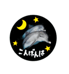 御蔵島のイルカと子供たちが描いたイルカ2（個別スタンプ：17）