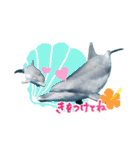御蔵島のイルカと子供たちが描いたイルカ2（個別スタンプ：22）