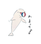 御蔵島のイルカと子供たちが描いたイルカ2（個別スタンプ：38）