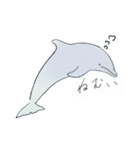 御蔵島のイルカと子供たちが描いたイルカ2（個別スタンプ：40）