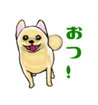 使える犬のごま坊君フレンズ（個別スタンプ：11）