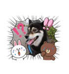 黒柴ななちゃんでござんす（個別スタンプ：4）