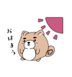 柴まるくん（個別スタンプ：1）