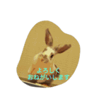 メルさんの日常あいさつ（個別スタンプ：7）