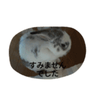 メルさんの日常あいさつ（個別スタンプ：13）