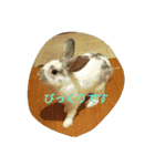 メルさんの日常あいさつ（個別スタンプ：21）