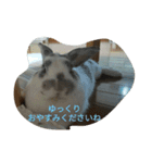 メルさんの日常あいさつ（個別スタンプ：28）