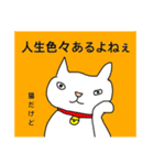 猫の日常色々（個別スタンプ：5）