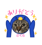 春＆櫻 3（個別スタンプ：1）