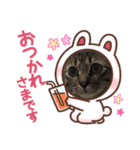 春＆櫻 3（個別スタンプ：5）