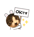 春＆櫻 3（個別スタンプ：7）