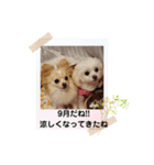 LUNA＆SEAスタンプ～秋編（個別スタンプ：4）