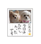 LUNA＆SEAスタンプ～秋編（個別スタンプ：5）