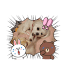 LUNA＆SEAスタンプ～秋編（個別スタンプ：6）
