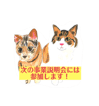 プライム会員猫さん犬さん連絡会話（個別スタンプ：2）