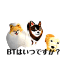プライム会員猫さん犬さん連絡会話（個別スタンプ：3）
