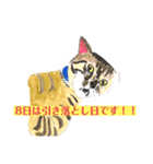 プライム会員猫さん犬さん連絡会話（個別スタンプ：7）