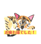 プライム会員猫さん犬さん連絡会話（個別スタンプ：8）