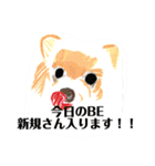 プライム会員猫さん犬さん連絡会話（個別スタンプ：10）
