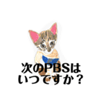 プライム会員猫さん犬さん連絡会話（個別スタンプ：11）