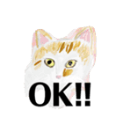 プライム会員猫さん犬さん連絡会話（個別スタンプ：14）