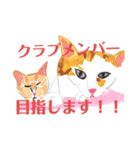 プライム会員猫さん犬さん連絡会話（個別スタンプ：17）