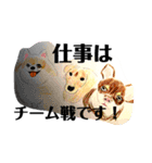 プライム会員猫さん犬さん連絡会話（個別スタンプ：18）