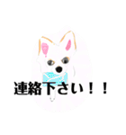 プライム会員猫さん犬さん連絡会話（個別スタンプ：19）