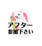 プライム会員猫さん犬さん連絡会話（個別スタンプ：24）
