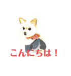 プライム会員猫さん犬さん連絡会話（個別スタンプ：25）