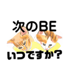 プライム会員猫さん犬さん連絡会話（個別スタンプ：26）