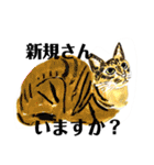 プライム会員猫さん犬さん連絡会話（個別スタンプ：29）