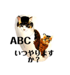 プライム会員猫さん犬さん連絡会話（個別スタンプ：35）